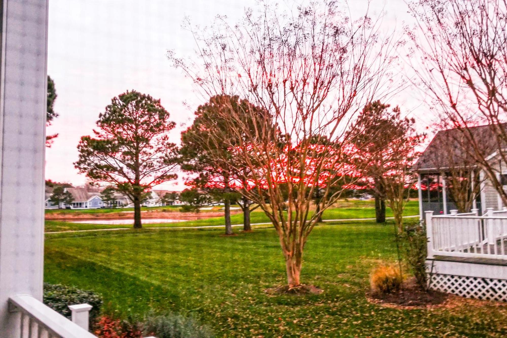 Bear Trap Dunes - Willow Oak Ocean View Номер фото